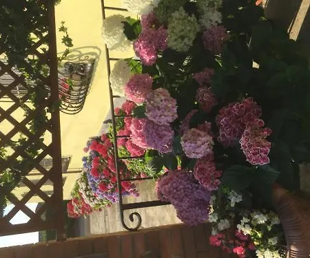 Il Gufo Hotel Parma
