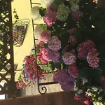 Il Gufo Ξενοδοχείο Πάρμα